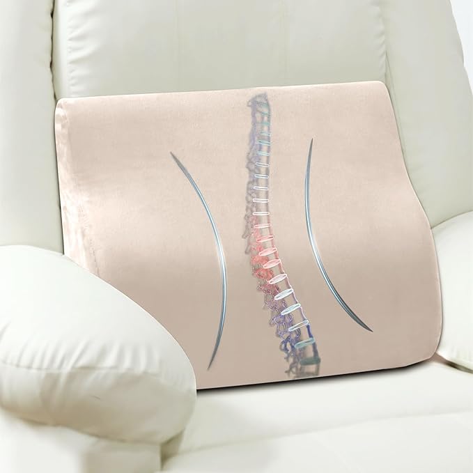 AHUAWA Lumbar Support Pillow for Recliner Chair and Couch, Memory Foam Back Cushion Ergonomic Large Back Support Pillow for Lower Back Pain Relief, with Soft Velvet