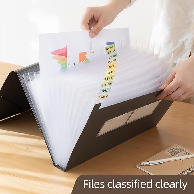 Expanding File Folder with Tabs, 13 Pockets File Organizer Accordion File Holder ，with Elastic Buckles Closure, A4 Paper Document Organizer for Home School Office (1, Black)