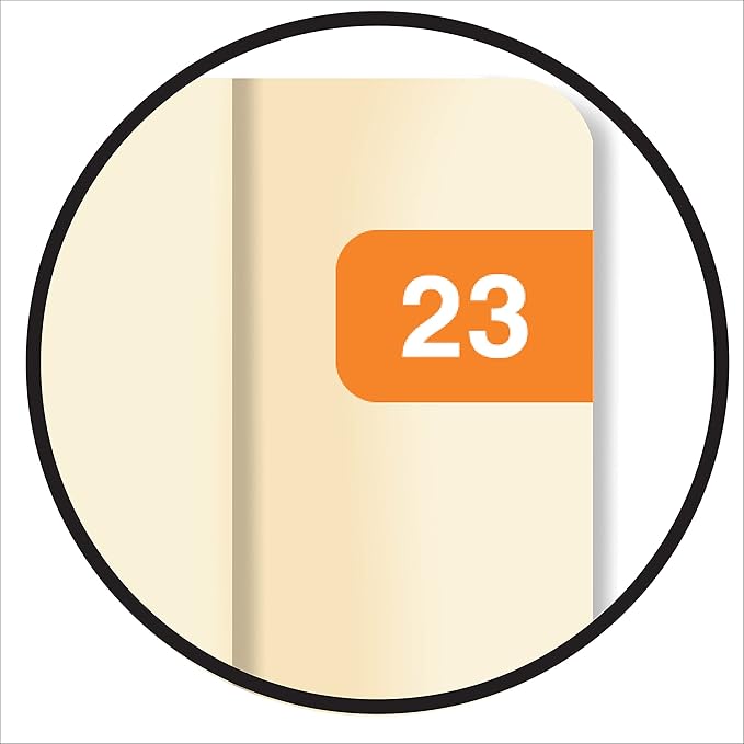 2023 MINI Year Stickers, Doctor Stuff 2023 Chart Stickers, Orange Colored, Ames Small Style, USA Made Year Stickers for End Tab File Folders, 500/Roll, 1 Roll, 1/2" x 1-1/2"