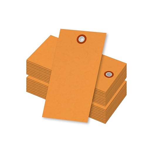 SmartSign (Pack of 100) 4.75 x 2.375 inch “Orange” Blank Tyvek Shipping Tags with Metal Eyelets, Size #5, 8 mil Thick Tyvek, Made in USA