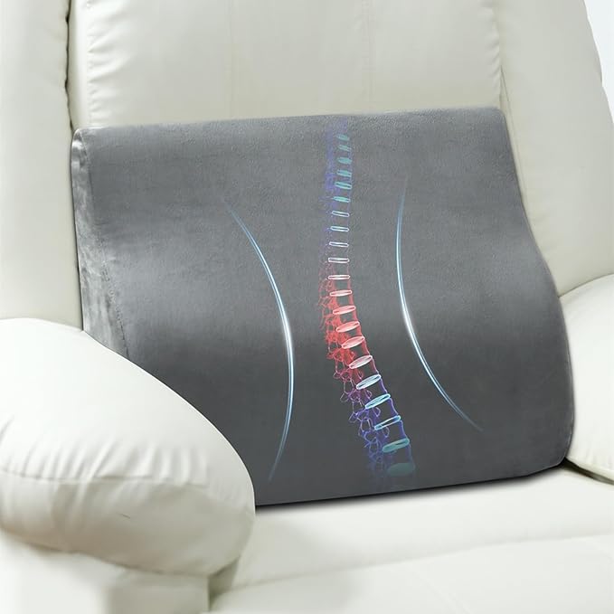 AHUAWA Lumbar Support Pillow for Recliner Chair and Couch, Memory Foam Back Cushion Ergonomic Back Support Pillow for Lower Back Pain Relief, with Soft Velvet