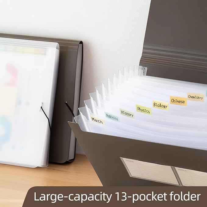 Expanding File Folder with Tabs, 13 Pockets File Organizer Accordion File Holder ，with Elastic Buckles Closure, A4 Paper Document Organizer for Home School Office (1, Black)