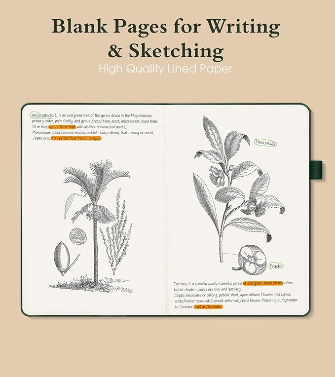 PAIBAS Blank Journal Notebook for Women Men,160 Pages,A5 Hardcover Sketchbook for Drawing, Sketch book, Unlined Notebooks for School,Work, Note Taking,Travel Journals for Writing 5.8"x8.5" (Green)