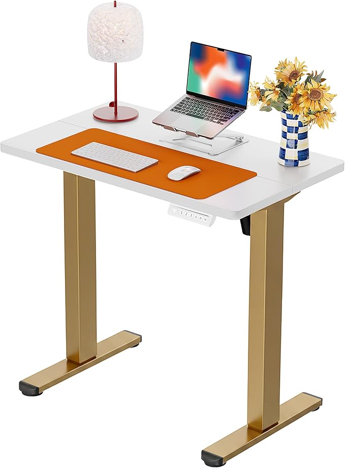 ErGear Height Adjustable Electric Standing Desk, 31.5 x 18.9 Inches Sit Stand up Desk, Memory Computer Home Office Desk with Two-Piece Desktop (White & Gold Frame)