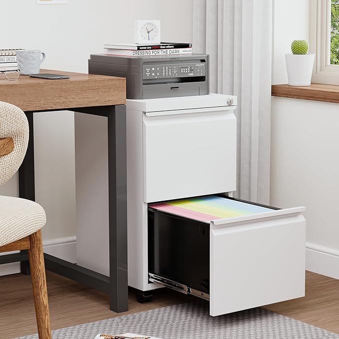 BYNSOE 2 Drawers File Cabinet with Lock Metal Vertical File Cabient with Wheels Mobile File Cabinet for Office Home Legal/Letter/a4 Size Require Assembly (White, 2 Drawers)