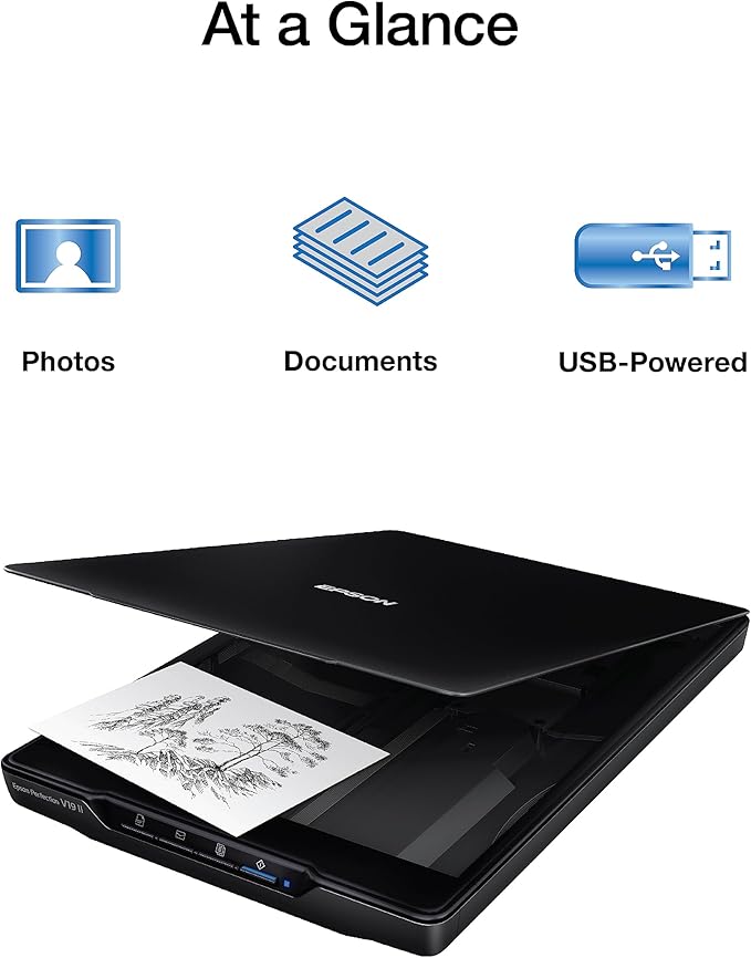 Epson Perfection V19 II Color Photo and Document Flatbed Scanner with 4800 dpi Optical Resolution USB Power, High-Rise, Removable Lid