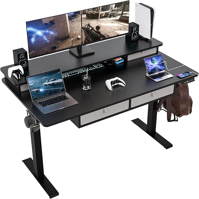 ExaDesk 55 * 30 Inches Electric Standing Widened Desk Adjustable Height with 4 Drawers, Double Storage Shelves Stand Up Desk, Home Office Workstation Sit Stand up Desk (Classical Black)