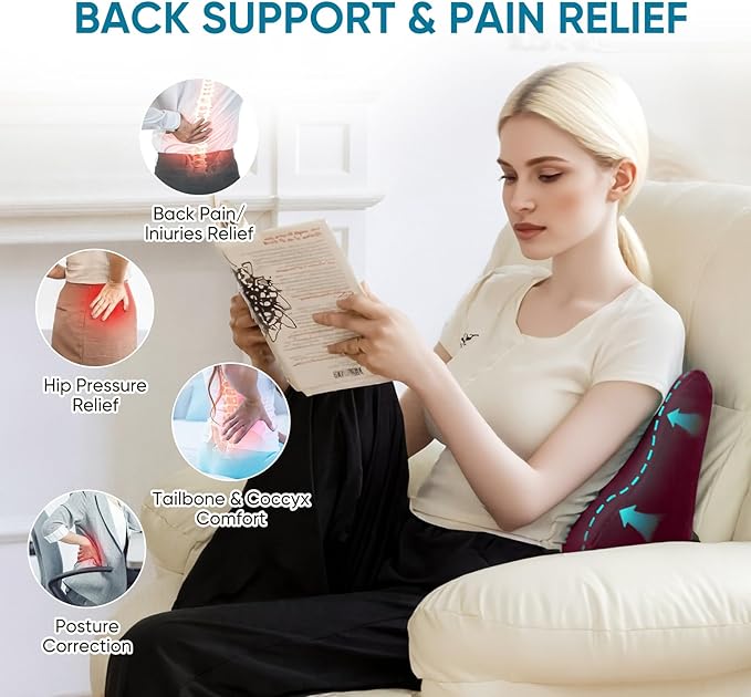 AHUAWA Back Support Pillow for Recliner Chair, Memory Foam Couch Back Cushions Ergonomic Large Lumbar Support Pillow for Lower Back Pain Relief, with Soft Velvet