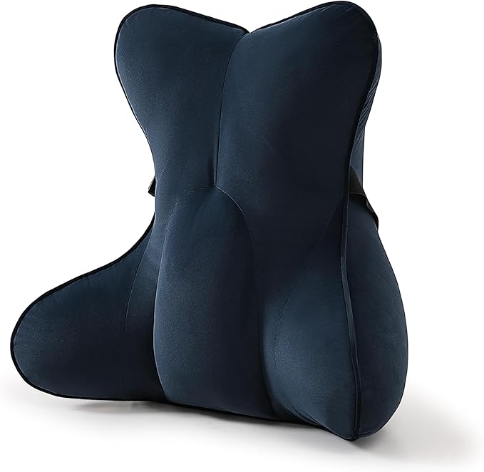 Ailuteie Lumbar Support Pillow(Pat. Pend) – Multi-Functional Ergonomic Back Cushion for Office Chair, Car Seat & Sofa, Reading Pillow with Firm Multi-Zone Support to Relieve Lower Back Pain,Teal Blue