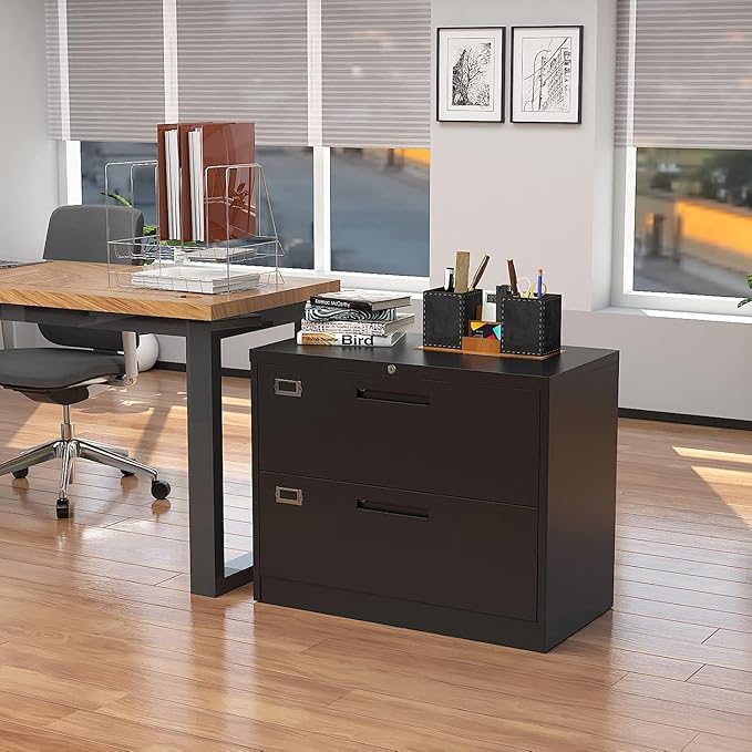 Fesbos Lateral File Cabinet with Lock, 2 Drawer Large Metal Filing Cabinet,Home Office Lockable Storage Cabinet for Hanging Files Letter/Legal/F4/A4 Size-Assembly Required