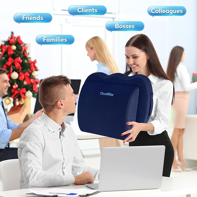 CloudBliss Seat Cushion,Office Chair Cushion,Car Seat Cushion,Lumbar Support Pillow for Office Chair,Back Support Memory Foam Pillow Coccyx Cushion for Tailbone Pain&Sciatica Pain Relief,Blue, X-Large