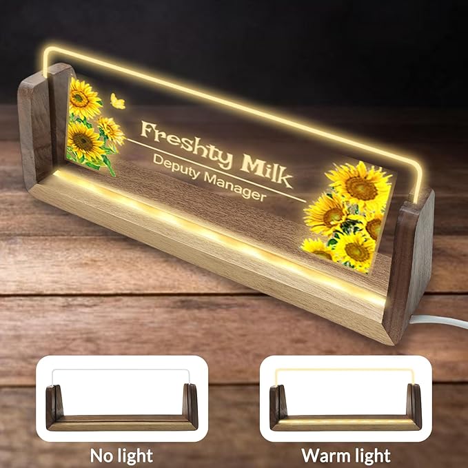 Personalized Light Up Acrylic Desk Name Plate Custom LED Name Plate for Office Coworker Boss Teacher Men Women Gift with USB Power