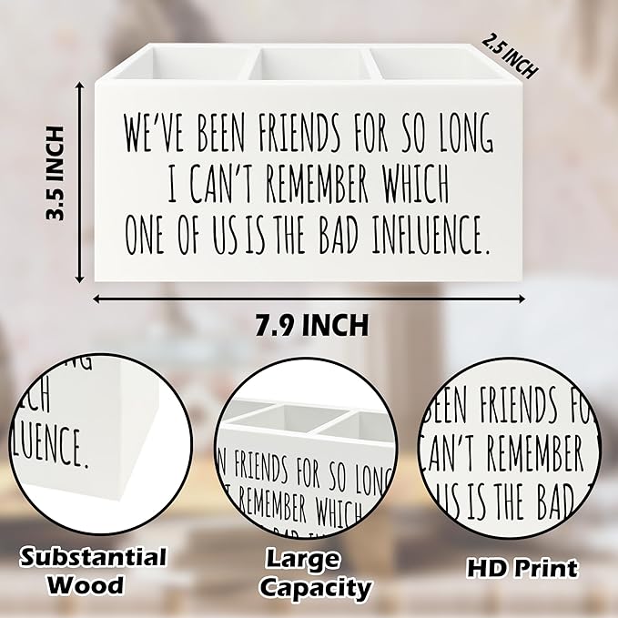 QZQE Funny Sarcastic Friendship Pen Pencil Holder Organizer for Desk, Humorous Gifts, We've Been Friends for So Long I Can't Remember Which Wooden Box Signs Decor for Home Office Desk Tabletop