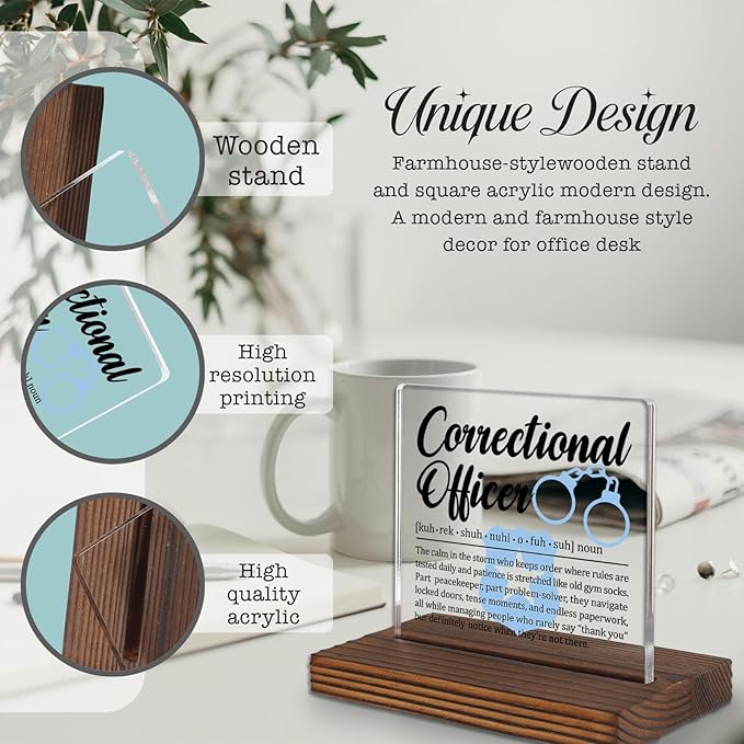 Correctional Officer Gift Desk Sign, Thank You Plaque for Prison Staff, Law Enforcement Office Decor for CO Appreciation Week, Retirement or Promotion Present PA058