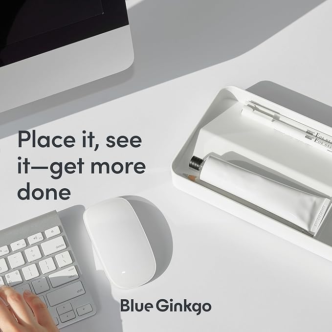 BLUE GINKGO Desk Tray – Korean-Made Organizer for Notes, Pens, Pencils, and Accessories (Double-sided, White)