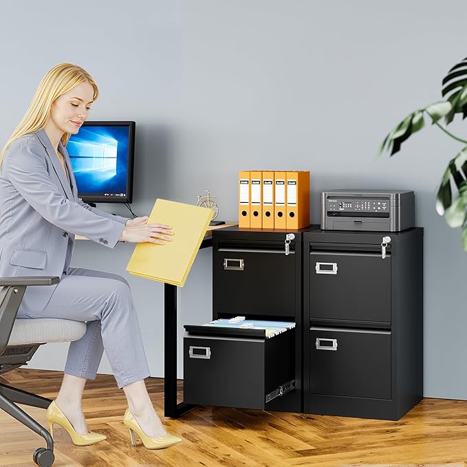 AFAIF 2 Drawer File Cabinet with Lock, Metal Filing Cabinets for Home Office, Vertical Black Small File Caninet, Steel Narrow Two Drawer File Cabnet for Letter/Legal / A4 / B4 - Assembly Required