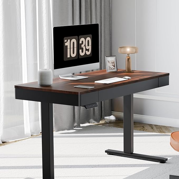 FLEXISPOT Q5 Standing Desk with Drawer, 48 x 24 Inch Electric Adjustable Height Stand Up Desk with Storage Organizer, Whole Piece Wooden Desktop for Home, Office, Computer Workstation, Dark Walnut