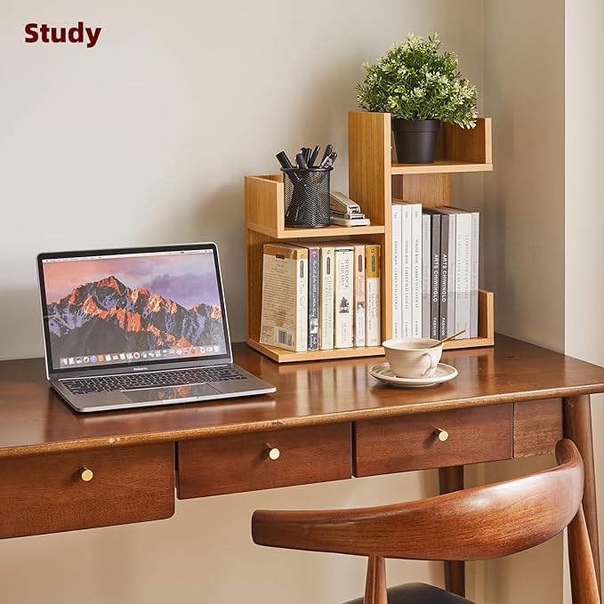 Aibiju Short Bookshelf Small Desk Organizer, Cactus Bookshelf Unique Bookcase, Book Display Shelf Small Plant Stand for Tabletop, Natural Wood Color YD-DSR002N