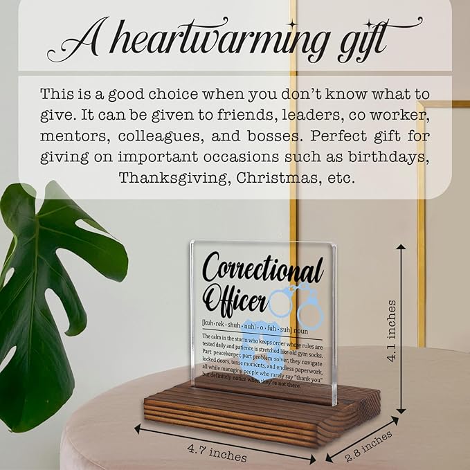 Correctional Officer Gift Desk Sign, Thank You Plaque for Prison Staff, Law Enforcement Office Decor for CO Appreciation Week, Retirement or Promotion Present PA058