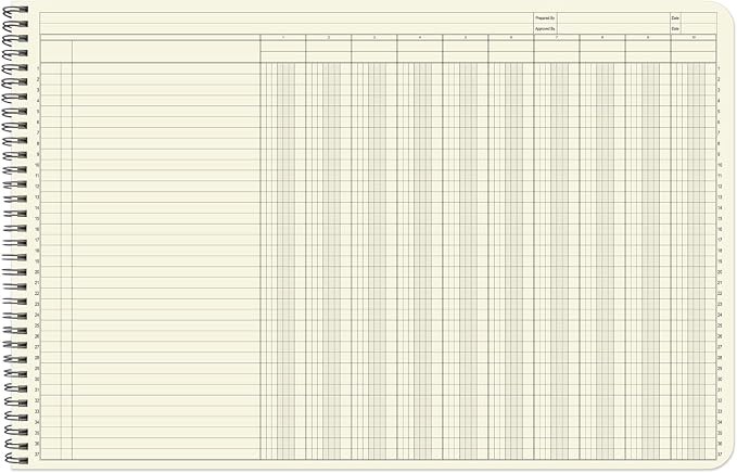 BookFactory Accounting Ledger Notebook/Large 10 Column Accounting Ledger Columnar (Ten Columns) Log Book - 17'' x 11'', 100 Pages, Wire-O Landscape Format (Made in USA)