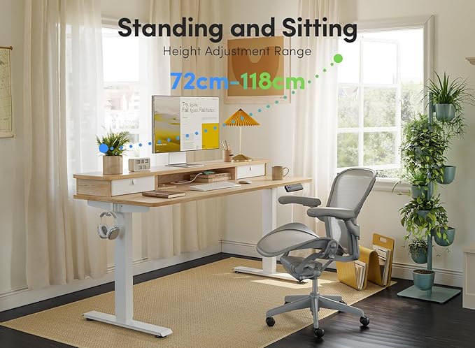 FEZIBO 48 x 24 Inch Height Adjustable Electric Standing Desk with Double Drawer, Computer Desk, Home Office Stand Up Table with 4 Height-Adjustable Feets & 2 Hooks, Light Rustic