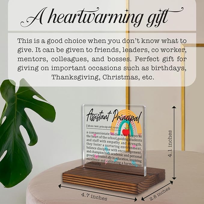 Assistant Principal Gifts, Thank You Desk Sign for Vice Principals, Inspirational Appreciation Plaque for Educational Leaders, Office Decor Recognition for School Admins PA033