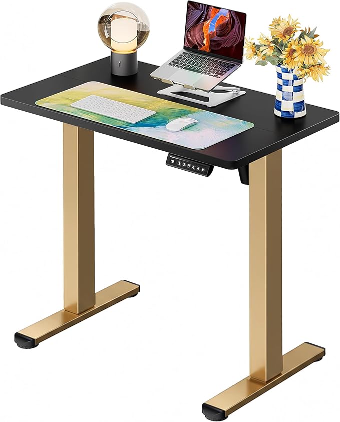 ErGear Height Adjustable Electric Standing Desk, 31.5 x 18.9 Inches Sit Stand up Desk, Memory Computer Home Office Desk with Two-Piece Desktop (Black & Gold Frame)