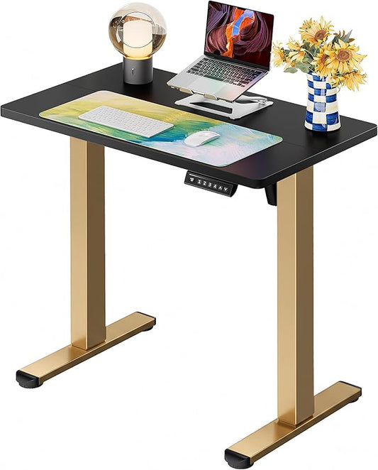 ErGear Height Adjustable Electric Standing Desk, 31.5 x 18.9 Inches Sit Stand up Desk, Memory Computer Home Office Desk with Two-Piece Desktop (Black & Gold Frame)