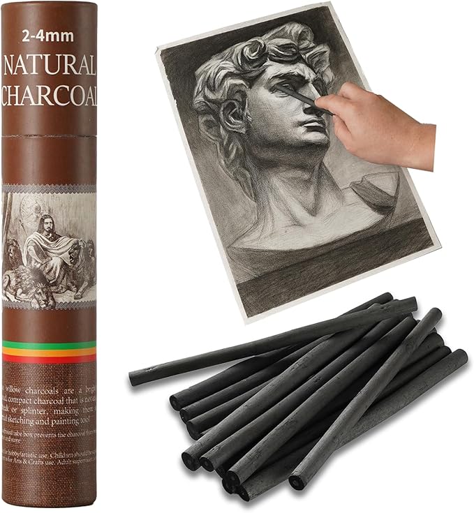 Trzzyan 25 PCS Willow Charcoal Sticks, Ideal for Artists, Beginners, Students, Perfect for Sketching, Drawing, Shading, and Fine Art, 5.7 Inches Long, 2-4,4-5,5-7,7-9 (2-4)