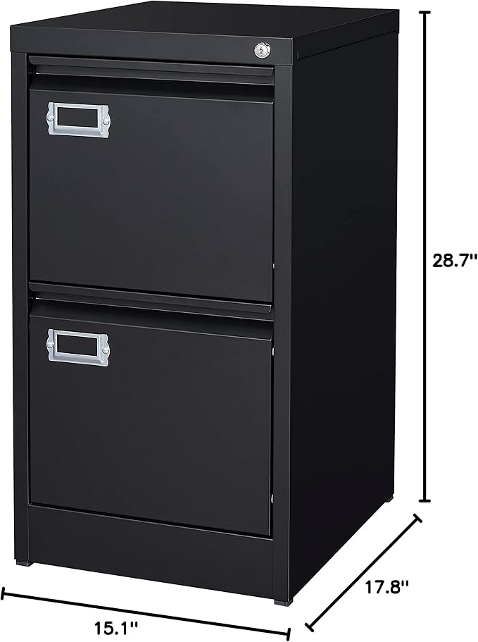 BYNSOE 2 Drawer File Cabinet with Lock Metal Vertical Filing Storage Cabinet Office Home Steel Vertical File Cabinets for A4 Legal/Letter Size Narrow File Cabinet Locked,Assembly Required