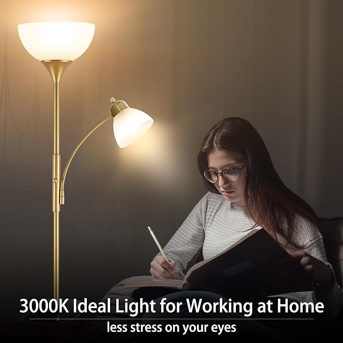 RISLG Floor Lamp, Standing lamp, Stepless Dimming Brightness, Included 9W and 5W LED Bulbs, Lamp for Living Room, Bedroom, Office, Reading
