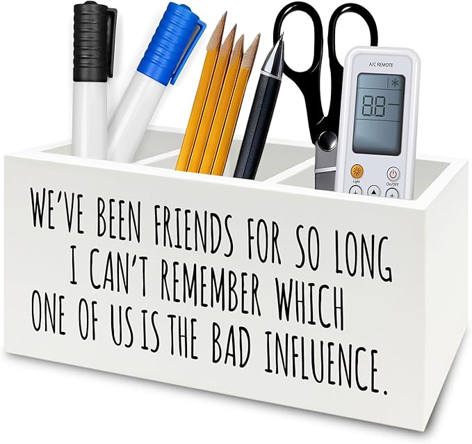 QZQE Funny Sarcastic Friendship Pen Pencil Holder Organizer for Desk, Humorous Gifts, We've Been Friends for So Long I Can't Remember Which Wooden Box Signs Decor for Home Office Desk Tabletop