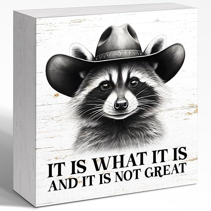 WUZYOU Humor Team Wooden Block Sign, It Is What It Is and It Is Not Great 5x5x1 INCH Sign, Teacher Therapist Office Sarcasm Decor