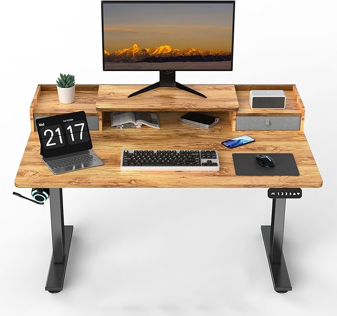 ExaDesk 48 x 30 Inch Electric Standing Desk with 2 Drawers, Adjustable Height Widened Stand Up Desk with Storage, Sit to Stand Ergonomic Workstation for Home Office, Light Rustic