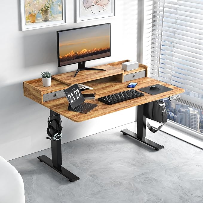 ExaDesk 48 x 30 Inch Electric Standing Desk with 2 Drawers, Adjustable Height Widened Stand Up Desk with Storage, Sit to Stand Ergonomic Workstation for Home Office, Light Rustic