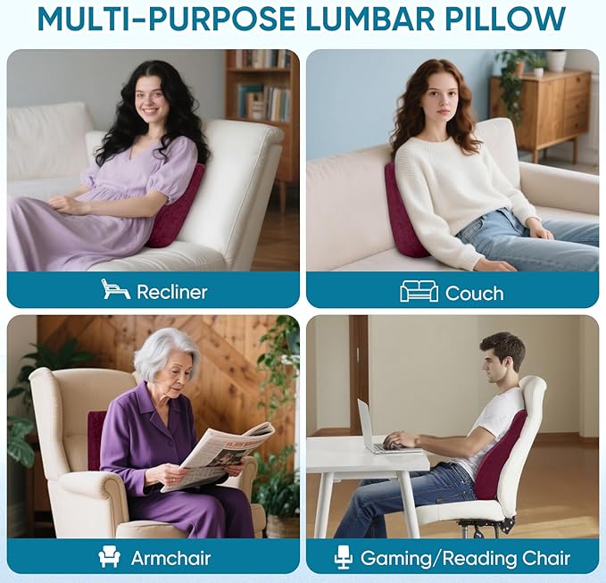 AHUAWA Back Support Pillow for Recliner Chair, Memory Foam Couch Back Cushions Ergonomic Large Lumbar Support Pillow for Lower Back Pain Relief, with Soft Velvet