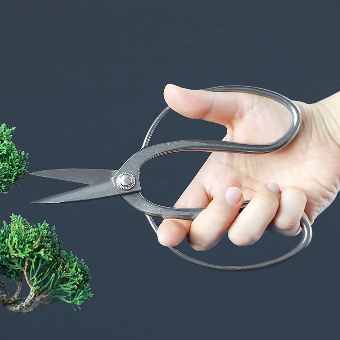 Wazakura Bonsai Scissors (Stainless Steel) Kazuyuki Ishihara model