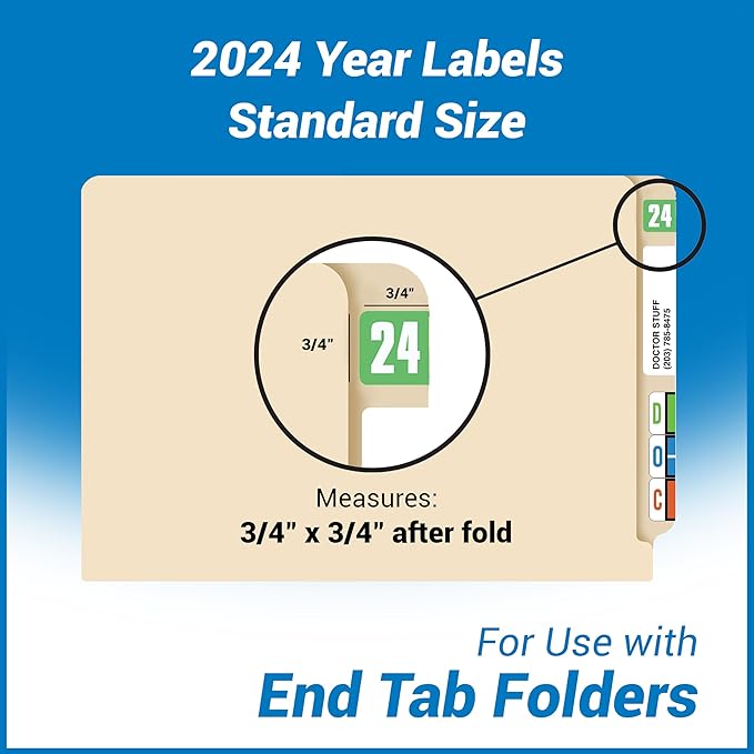2024 Year Stickers, Doctor Stuff 2024 Chart Stickers, Safeguard Style Ringbook Sheets, Light Green Color Coded, USA Made Year Labels for End Tab File Folders, 270/Package, 3/4" x 1-1/2"