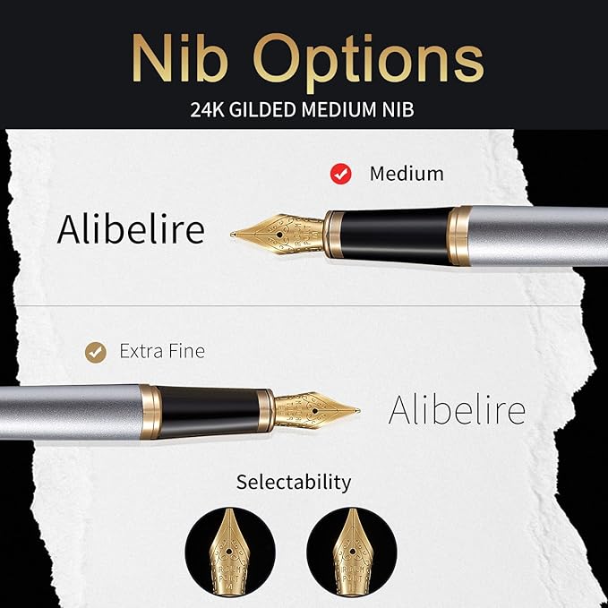 HDDNB Silver Luxury Fountain Pen Set for Men and Women with Gift Box, 24K Gold Finish and Gilded Nib(Medium) with 5 Black Ink Cartridges and Converter