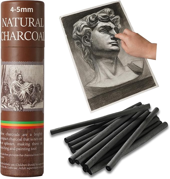 Trzzyan 25 PCS Willow Charcoal Sticks, Ideal for Artists, Beginners, Students, Perfect for Sketching, Drawing, Shading, and Fine Art, 5.7 Inches Long, 2-4,4-5,5-7,7-9 (4-5)