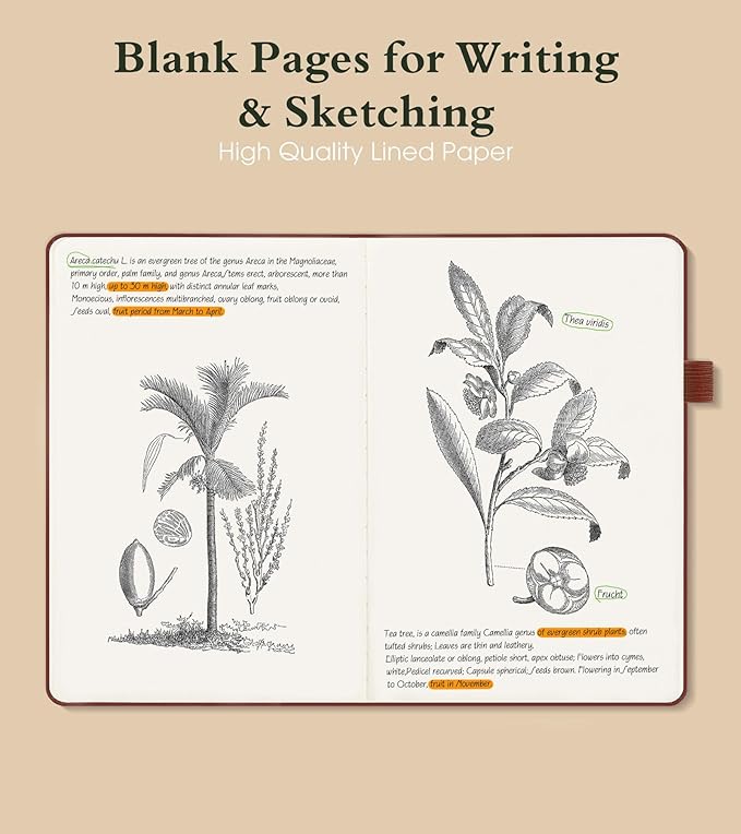 PAIBAS Blank Journal Notebook for Women Men,160 Pages,A5 Hardcover Sketchbook for Drawing, Sketch book, Unlined Notebooks for School,Work, Note Taking,Travel Journals for Writing 5.8"x8.5" (Brown)