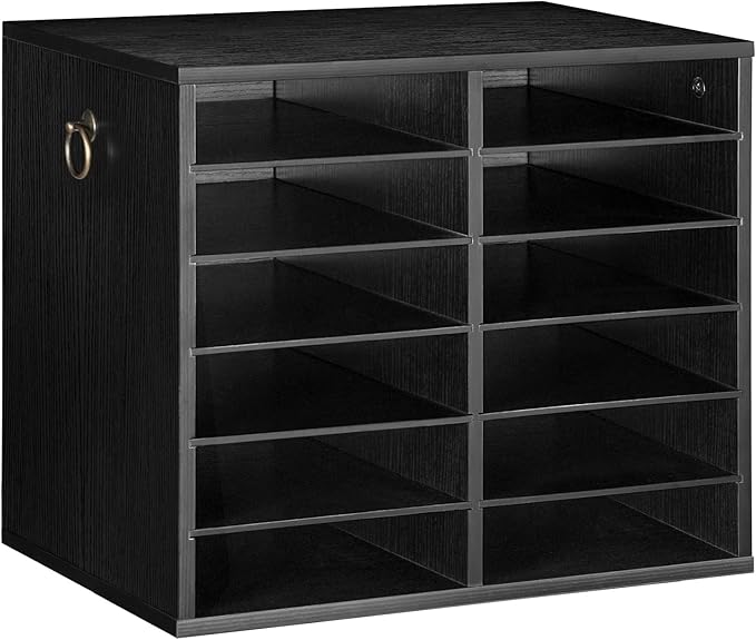 HOOBRO Literature Organizers, 12 Compartments Office Mailbox with Adjustable Shelves, Wood Countertop Literature Sorter for Office, Home, Classroom, Mailrooms Organization Black BK12WF01