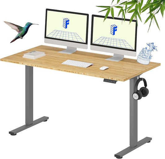 FLEXISPOT EN1 Bamboo Standing Desk, 55 x 28 Inches Whole-Piece Electric Height Adjustable Desk for Home Office (Silver Frame + Bamboo Top, 2 Packages)