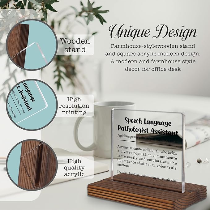 Speech Language Pathologist Assistant Gift Desk Sign, Appreciation Decor Plaque for SLPAs, Office Thank You Present for Communication Support Professionals PA060