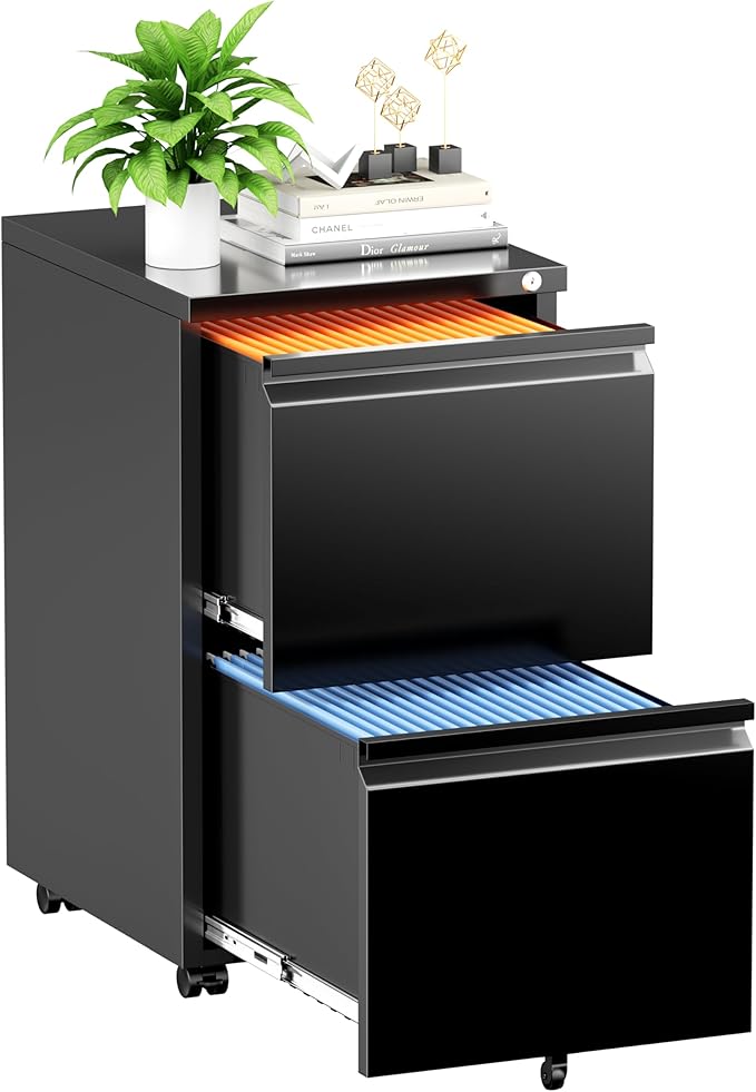 INTERGREAT 2 Drawer File Cabinet with Wheels, Metal Filling Cabinet with Lock, Locking Office Mobile Cabinet with Wheels for Legal/Letter Size, Under Desk, Easy Assemble, Black