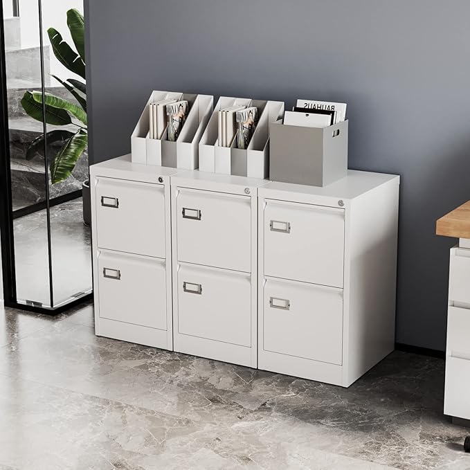 Fesbos 2 Drawers Vertical File Cabinets - 17.8" Deep Lockable Filing Cabinet - Metal Storage Cabinets for Home Office to Hanging Files Letter/Legal/F4/A4 Size