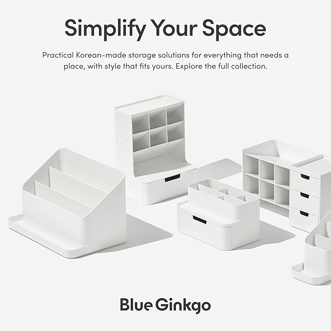 BLUE GINKGO Desk Organizer – Korean-Made Office Storage for Pens, Notes, Mail, and Supplies (White)
