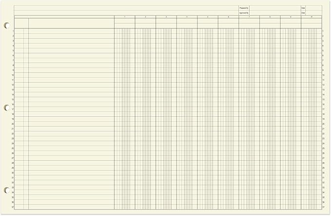 BookFactory Ledger Sheets/Large 10 Column Accounting Ledger Columnar (Ten Columns) Loose Leaf Paper - 17'' x 11'', 50 Pages, Loose Leaf, 3 Hole Punched (Made in USA)