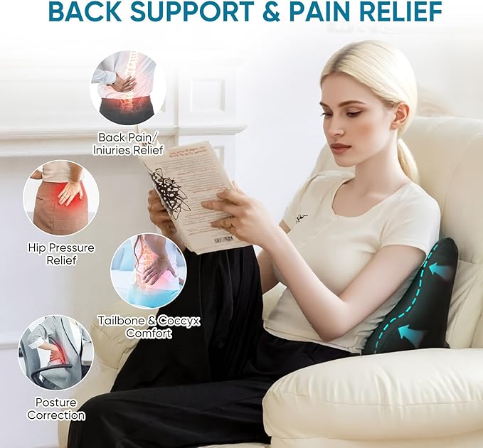 AHUAWA Lumbar Support Pillow for Recliner Chair and Couch, Memory Foam Back Cushion Ergonomic Large Back Support Pillow for Lower Back Pain Relief, with Soft Velvet