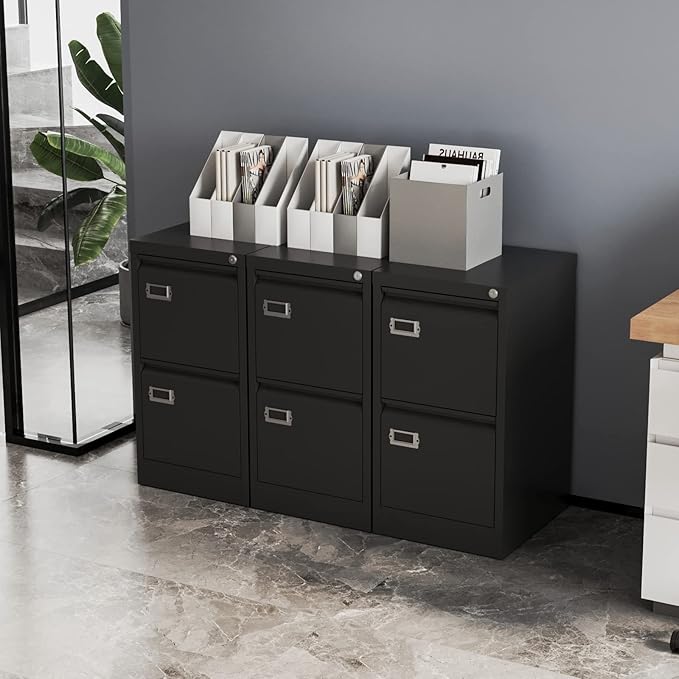 Fesbos 2 Drawers Vertical File Cabinets - 17.8" Deep Lockable Filing Cabinet - Black Metal Storage Cabinets for Home Office to Hanging Files Letter/Legal/F4/A4 Size